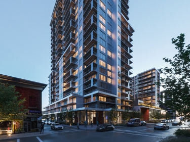 WE 2 - New Rentals