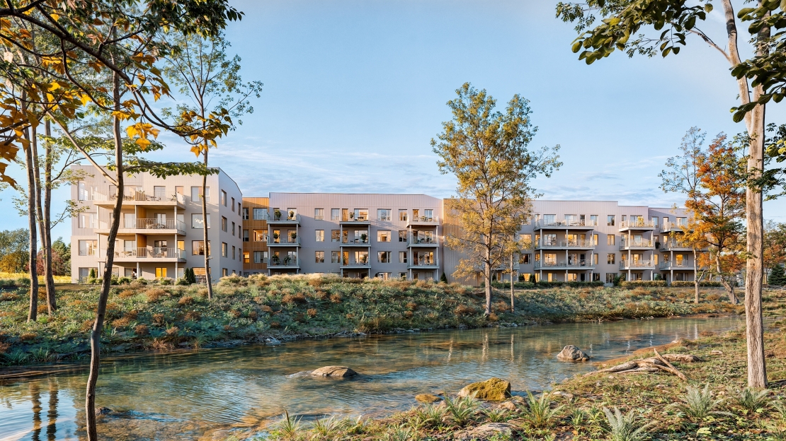 Faubourg campo image-0