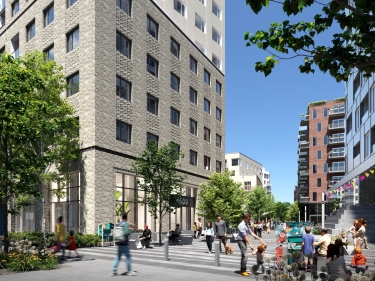 New Condo Apartment for rent studio HOMA | Cano� | Appartements for rent - Important real estate websites