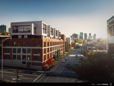 New Condo Apartment for rent 1 bedroom Westmount | Labo Habitats Locatifs - Important real estate websites