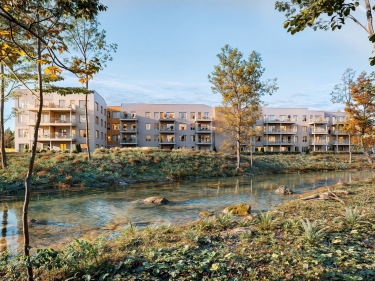 New Condo Apartment for rent 1 bedroom Saint-Philippe | Faubourg campo - Important real estate websites