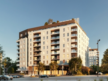 New Condo Apartment for rent studio NDG | Citizia - Important real estate websites